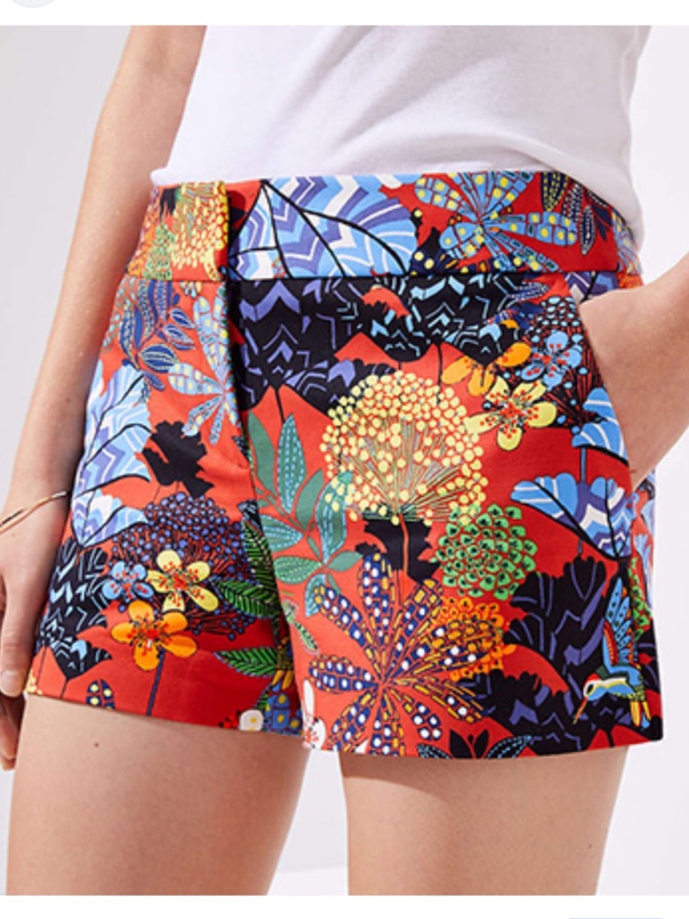 LOFT Floral Botanical Print Women's Shorts Size 14